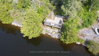 Photo 34: 93 Mcguire Beach Road in Kawartha Lakes: Rural Carden House (Bungalow-Raised) for sale : MLS®# X6149636