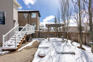 Photo 43: 13 Royal Birch Hill NW in Calgary: Royal Oak Detached for sale : MLS®# A2121795