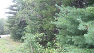 Photo 3: Dawson Road in Ellershouse: Hants County Vacant Land for sale (Annapolis Valley)  : MLS®# 202317664
