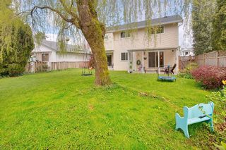 Photo 31: 23416 SANDPIPER Avenue in Maple Ridge: Cottonwood MR House for sale : MLS®# R2703816
