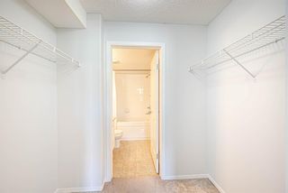 Photo 18: 113 3000 Citadel Meadow Point NW in Calgary: Citadel Apartment for sale : MLS®# A1215450