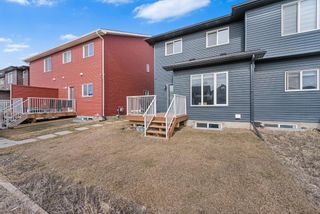 Photo 42: 459 Savanna Boulevard NE in Calgary: Saddle Ridge Semi Detached (Half Duplex) for sale : MLS®# A2115342