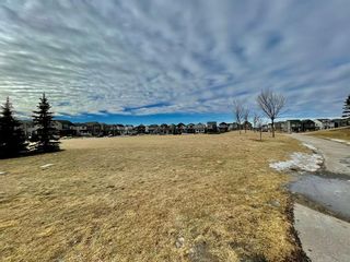 Photo 30: 6307 755 Copperpond Boulevard SE in Calgary: Copperfield Apartment for sale : MLS®# A2021777