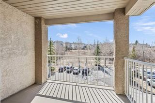 Photo 15: 320 4000 Citadel Meadow Point NW in Calgary: Citadel Apartment for sale : MLS®# A2123539