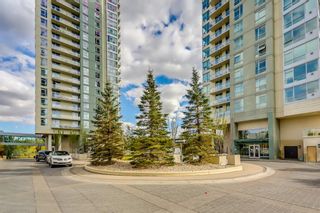 Photo 41: 2506 99 Spruce Place SW in Calgary: Spruce Cliff Apartment for sale : MLS®# A1128696