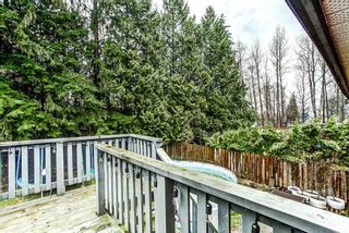 Photo 14: 20914 ROSEWOOD Place in Maple Ridge: Southwest Maple Ridge House for sale : MLS®# R2150995