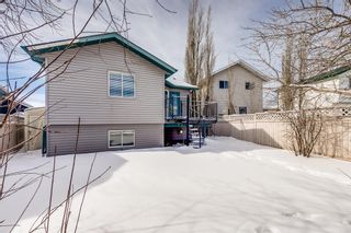 Photo 23: 1720 Big Springs Way SE: Airdrie Detached for sale : MLS®# A2030615