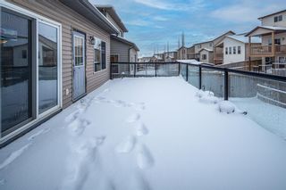 Photo 27: 11 Pantego Close NW in Calgary: Panorama Hills Detached for sale : MLS®# A2022312