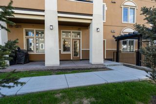Photo 16: 116 10 Mahogany Mews SE in Calgary: Mahogany Apartment for sale : MLS®# A2052082