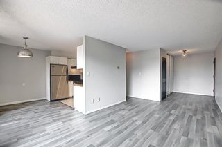 Photo 9: 506 523 15 Avenue SW in Calgary: Beltline Apartment for sale : MLS®# A2020533