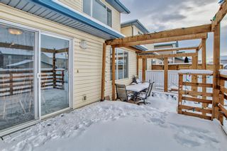 Photo 29: 273 Lakeview Inlet: Chestermere Detached for sale : MLS®# A2022824