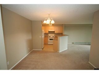 Photo 9: 4210 604 EIGHTH Street SW: Airdrie Condo for sale : MLS®# C3621036