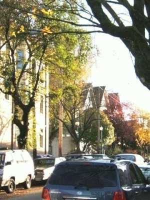 Photo 3: 105 2515 ONTARIO ST in Vancouver: Mount Pleasant VW Condo for sale in "ELEMENTS" (Vancouver West)  : MLS®# V566669