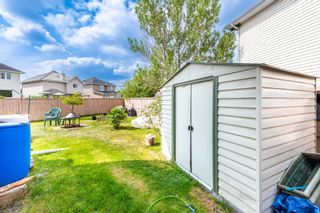 Photo 34: 113 Coral Springs Mews NE in Calgary: Coral Springs Detached for sale : MLS®# A2051766
