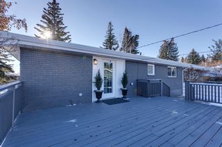 Photo 41: 604 Sherman Avenue SW in Calgary: Southwood Detached for sale : MLS®# A2018691