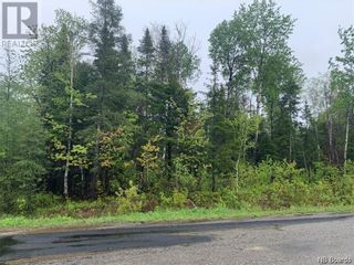 Photo 6: Lot Centennial Street in Plaster Rock: Vacant Land for sale : MLS®# NB083020