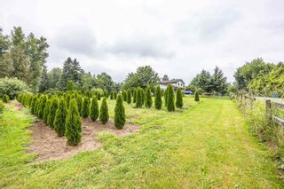 Photo 17: 28285 MYRTLE Avenue in Abbotsford: Bradner House for sale : MLS®# R2791569