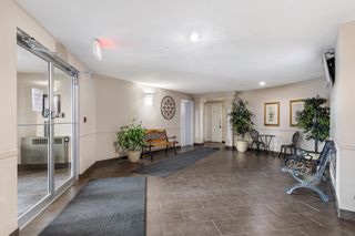 Photo 5: 2118 2600 66 Street NE in Calgary: Pineridge Apartment for sale : MLS®# A2125370