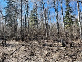 Main Photo: 152 Carwin Park Drive in Emma Lake: Lot/Land for sale : MLS®# SK967060