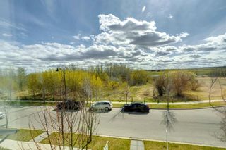 Photo 30: 212 Elgin Meadows Way SE in Calgary: McKenzie Towne Detached for sale : MLS®# A1216684
