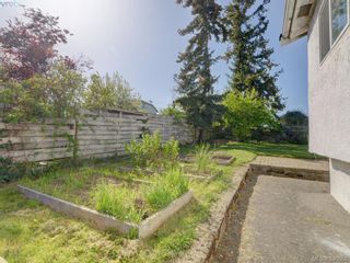 Photo 17: 3246 Irma St in VICTORIA: SW Rudd Park House for sale (Saanich West)  : MLS®# 785071