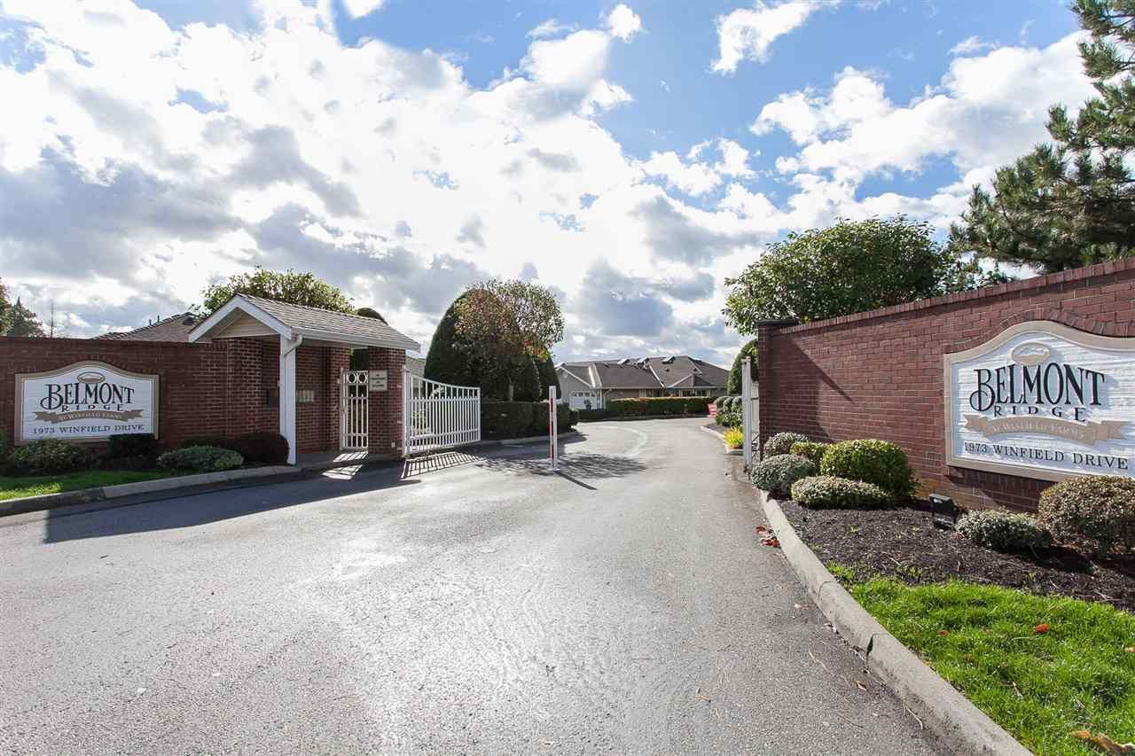 Main Photo: 57 1973 WINFIELD Drive in Abbotsford: Abbotsford East Townhouse for sale in "Belmont Ridge" : MLS®# R2252224