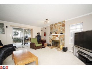 Photo 6: 12954 66A Avenue in Surrey: West Newton House for sale : MLS®# F1103031