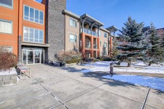 Photo 30: 323 2727 28 Avenue SE in Calgary: Dover Apartment for sale : MLS®# A1167342