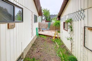 Photo 13: 48 Bedford Drive NE in Calgary: Beddington Heights Detached for sale : MLS®# A1250701