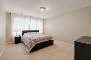 Photo 21: 34 Discovery Rise SW in Calgary: Discovery Ridge Detached for sale : MLS®# A2127019