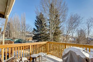 Photo 7: 12 Hawkville Place NW in Calgary: Hawkwood Detached for sale : MLS®# A1173532