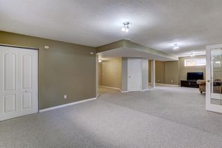 Photo 34: 113 Edgebrook Grove NW in Calgary: Edgemont Detached for sale : MLS®# A1244211