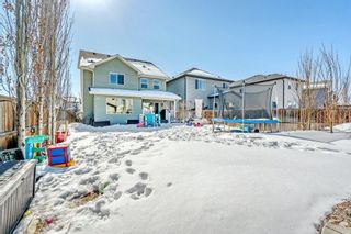 Photo 40: 223 Chapalina Heights SE in Calgary: Chaparral Detached for sale : MLS®# A2033157