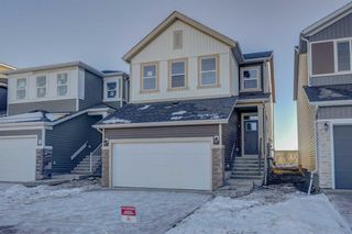 Photo 32: 118 Amblehurst Way NW in Calgary: C-527 Detached for sale : MLS®# A2098100