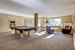 Photo 20: 411 5115 Richard Road SW in Calgary: Lincoln Park Apartment for sale : MLS®# A1215711