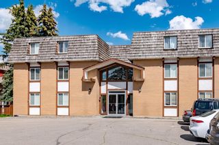 Photo 1: 31 528 Cedar Crescent SW in Calgary: Spruce Cliff Apartment for sale : MLS®# A1237572