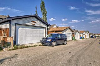 Photo 48: 273 Morningside Gardens SW: Airdrie Detached for sale : MLS®# A2076043
