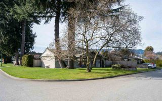Photo 2: 1205 DOGWOOD Crescent in North Vancouver: Norgate House for sale : MLS®# R2550916