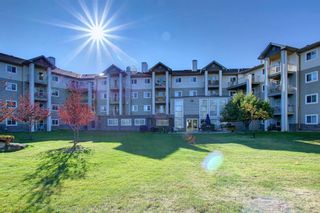 Photo 50: 420 5000 Somervale Court SW in Calgary: Somerset Apartment for sale : MLS®# A1258639
