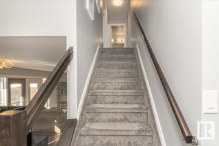 Photo 23: 8433 14 Avenue in Edmonton: Zone 29 House for sale : MLS®# E4373609