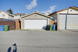 Photo 29: 339 Falton Drive NE in Calgary: Falconridge Detached for sale : MLS®# A1242976