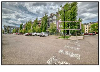 Main Photo: 1207 279 Copperpond Common SE in Calgary: Copperfield Apartment for sale : MLS®# A2136037