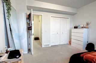 Photo 41: 155 Martinwood Place NE in Calgary: Martindale Detached for sale : MLS®# A1205507