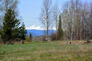 Photo 15: 100 LAIDLAW Road in Smithers: Smithers - Rural House for sale (Smithers And Area (Zone 54))  : MLS®# R2455012