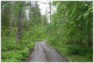 Photo 51: 1400 Southeast 20 Street in Salmon Arm: Hillcrest Vacant Land for sale (SE Salmon Arm)  : MLS®# 10112895