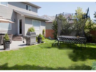 Photo 39: 67 CHAPMAN Way SE in Calgary: Chaparral House for sale : MLS®# C4065212
