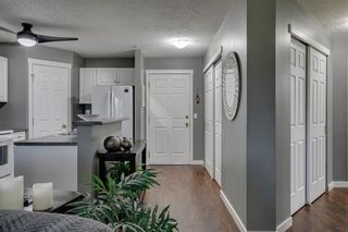 Photo 2: 307 270 Shawville Way SE in Calgary: Shawnessy Apartment for sale : MLS®# A2055506