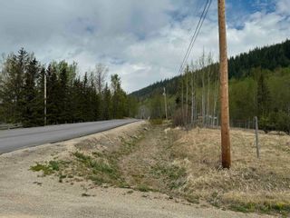 Photo 18: 2880 MOUNTAIN VIEW Road in McBride: McBride - Town Land for sale (Robson Valley)  : MLS®# R2879829