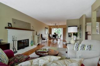 Photo 16: 20801 MCFARLANE Avenue in Maple Ridge: Southwest Maple Ridge House for sale : MLS®# R2065058