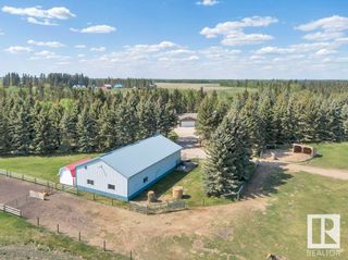 Photo 50: 233027 HWY 613: Rural Wetaskiwin County House for sale : MLS®# E4334135